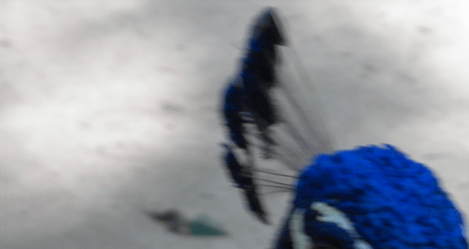 Schermata 2020-04-13 a 131442png